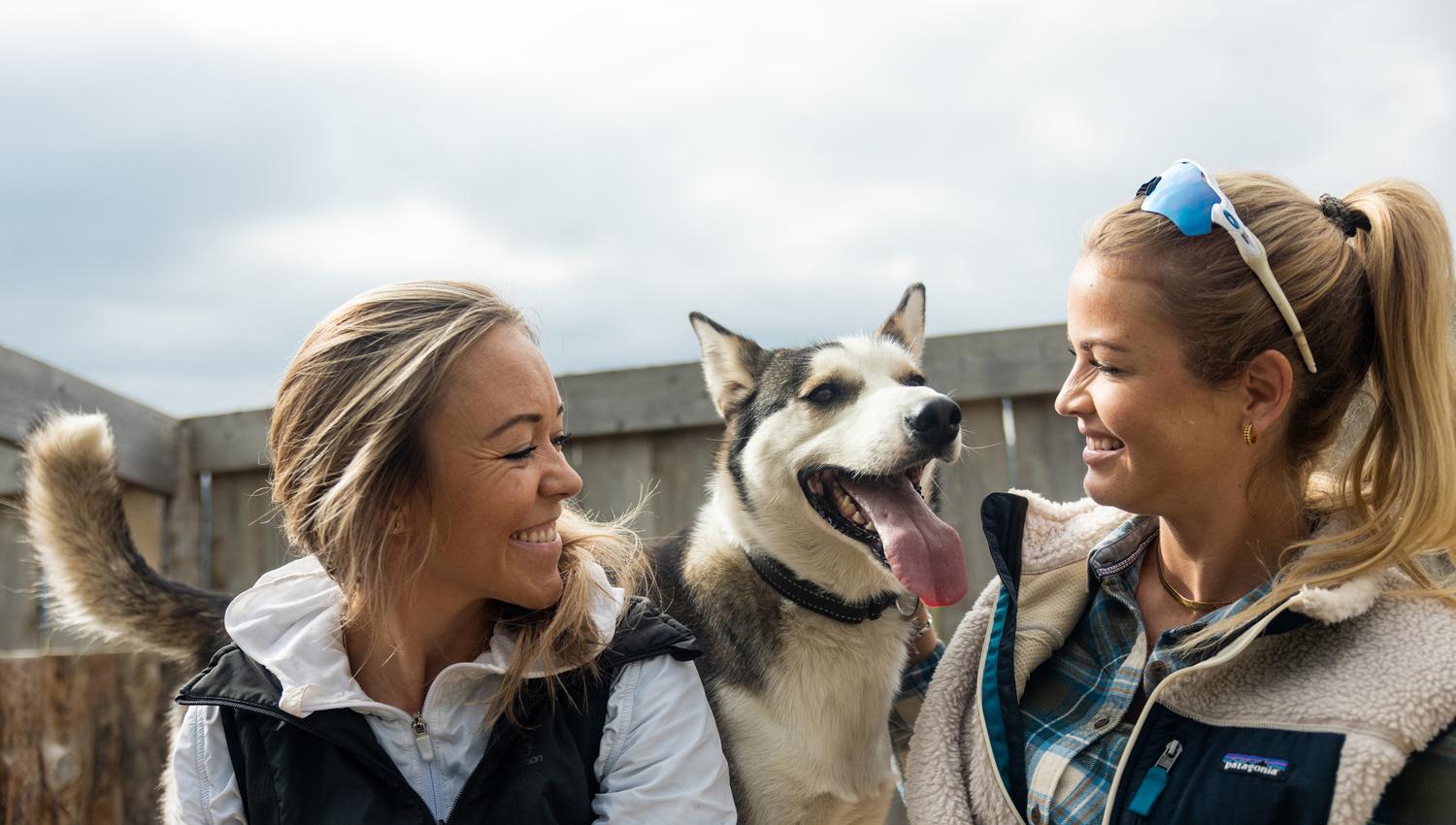 Husky meet and greet with Geilo Husky
