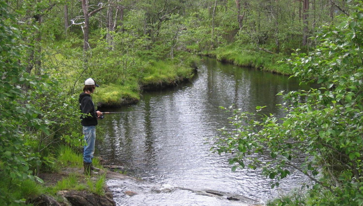 Stokkamyr, Sveinung Selsvik