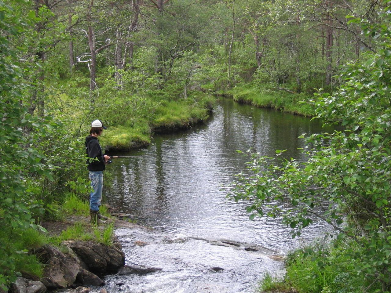 Stokkamyr, Sveinung Selsvik
