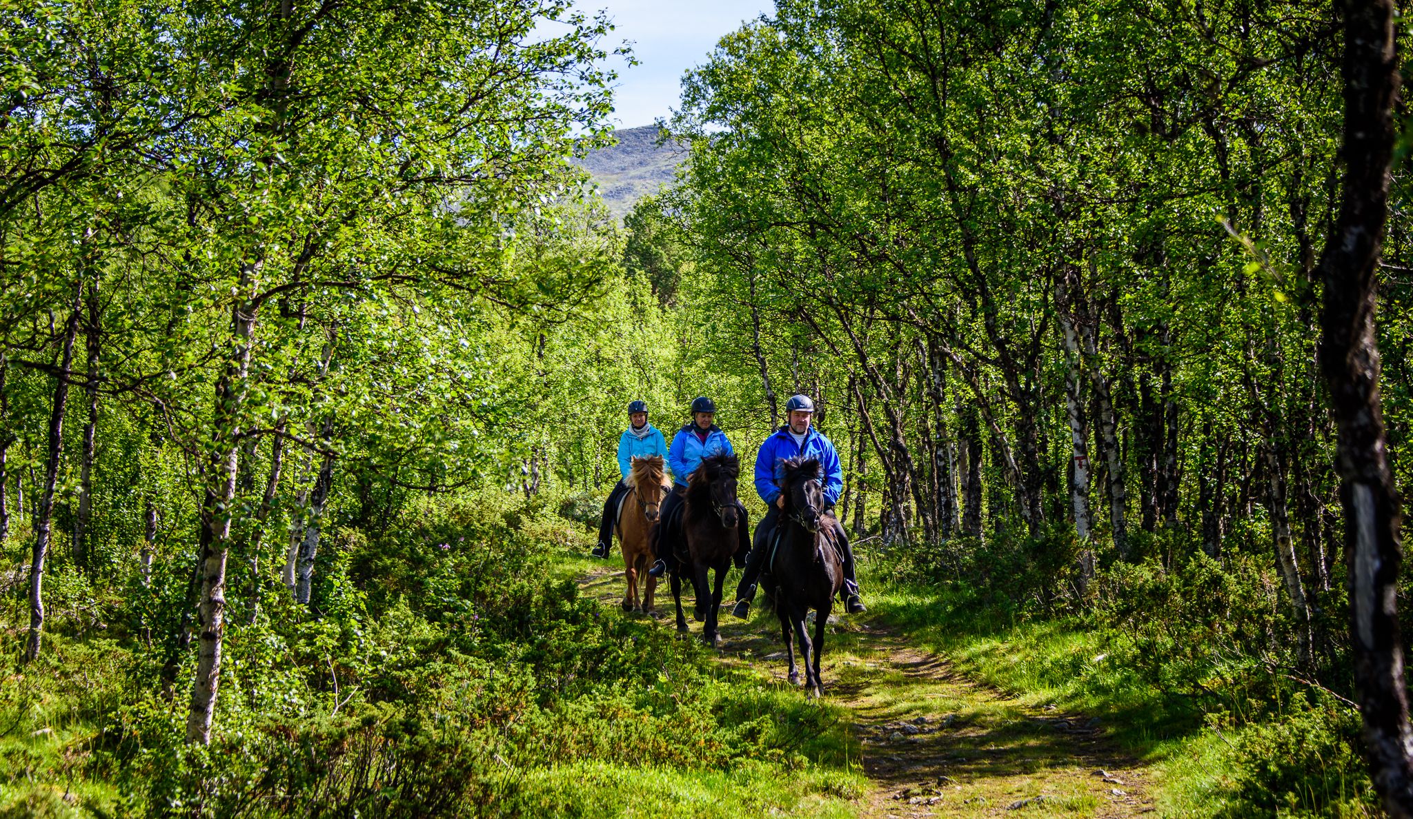 _IB81497-IanBrodie-VisitLillehammer