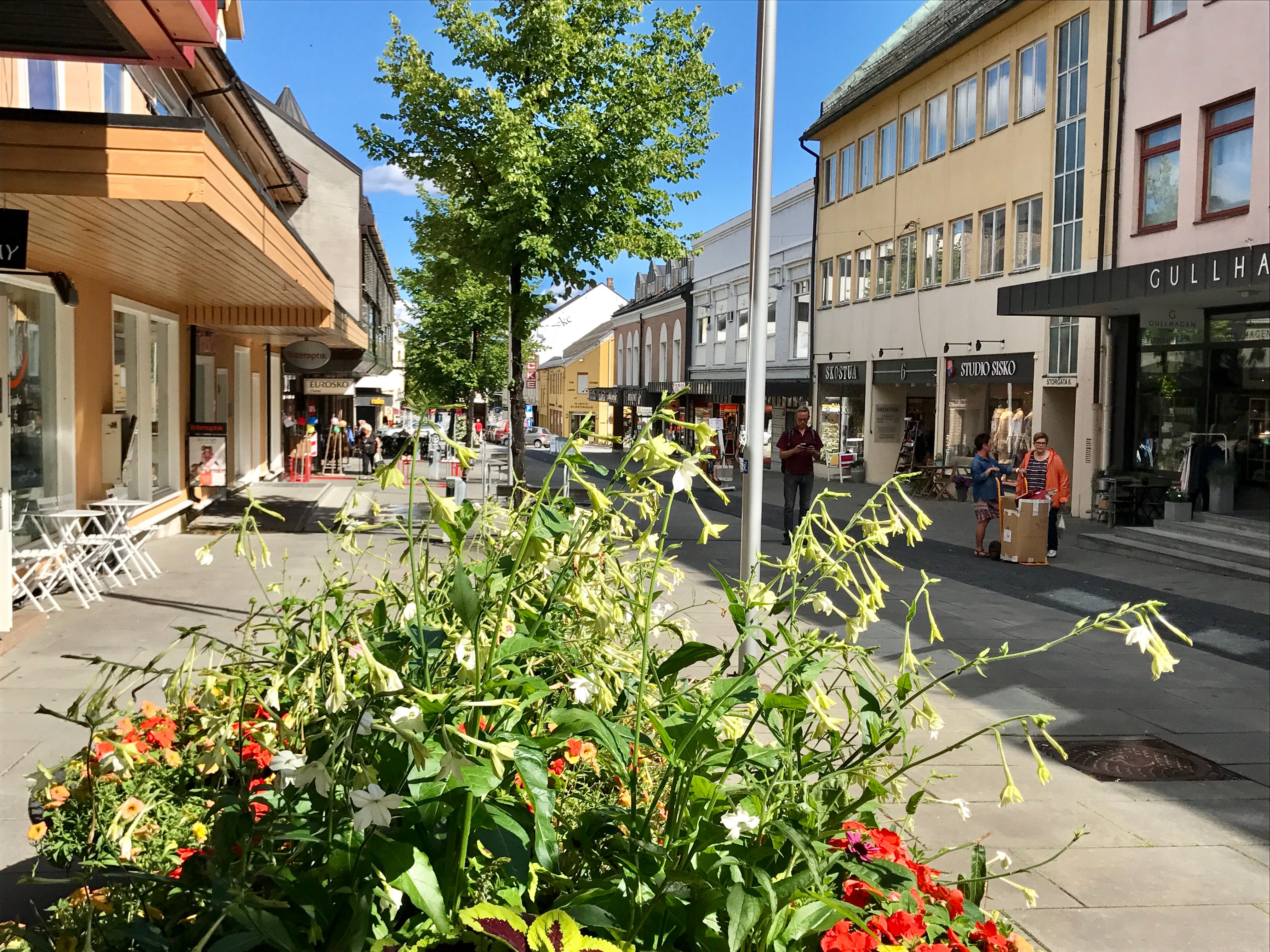 Gjøvik sentrum sommer 2017