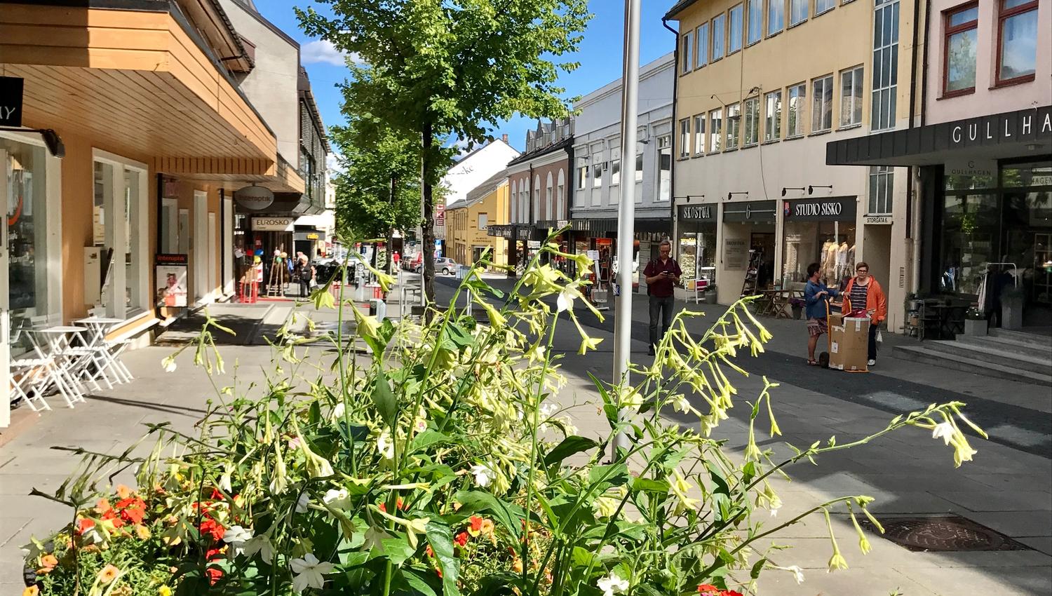 Gjøvik sentrum sommer 2017
