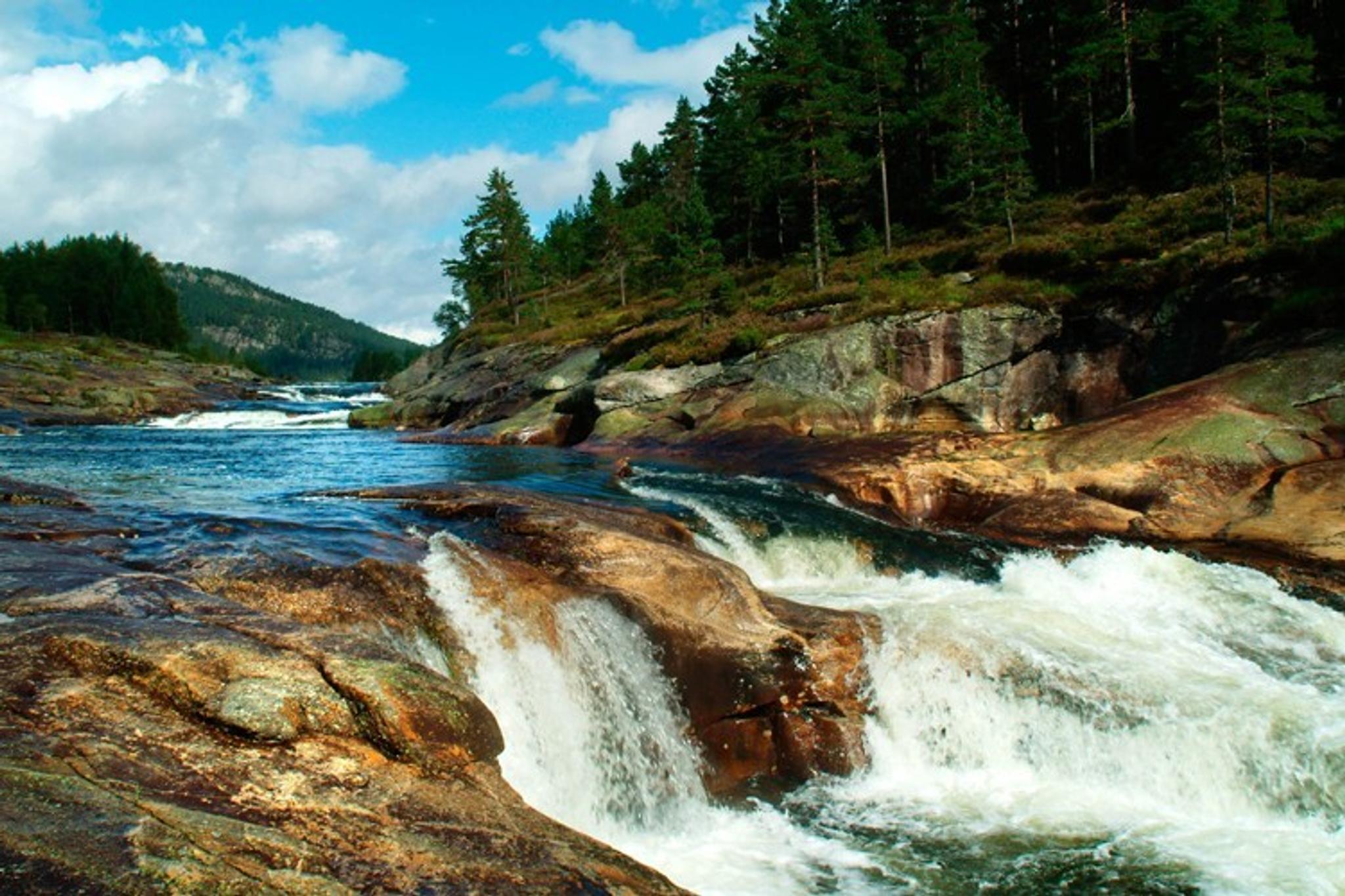 Jettegrytene på Netland