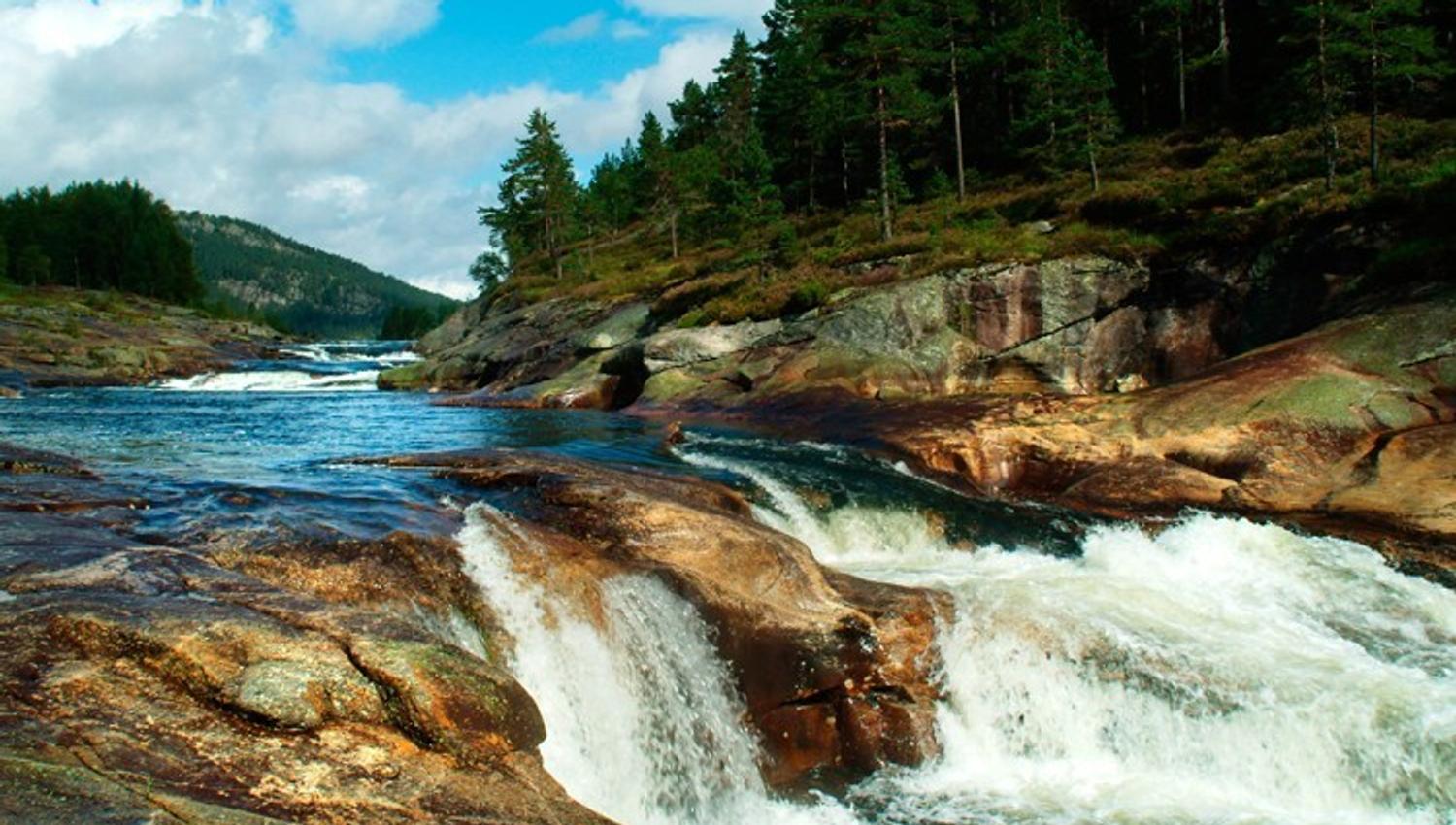 Jettegrytene på Netland