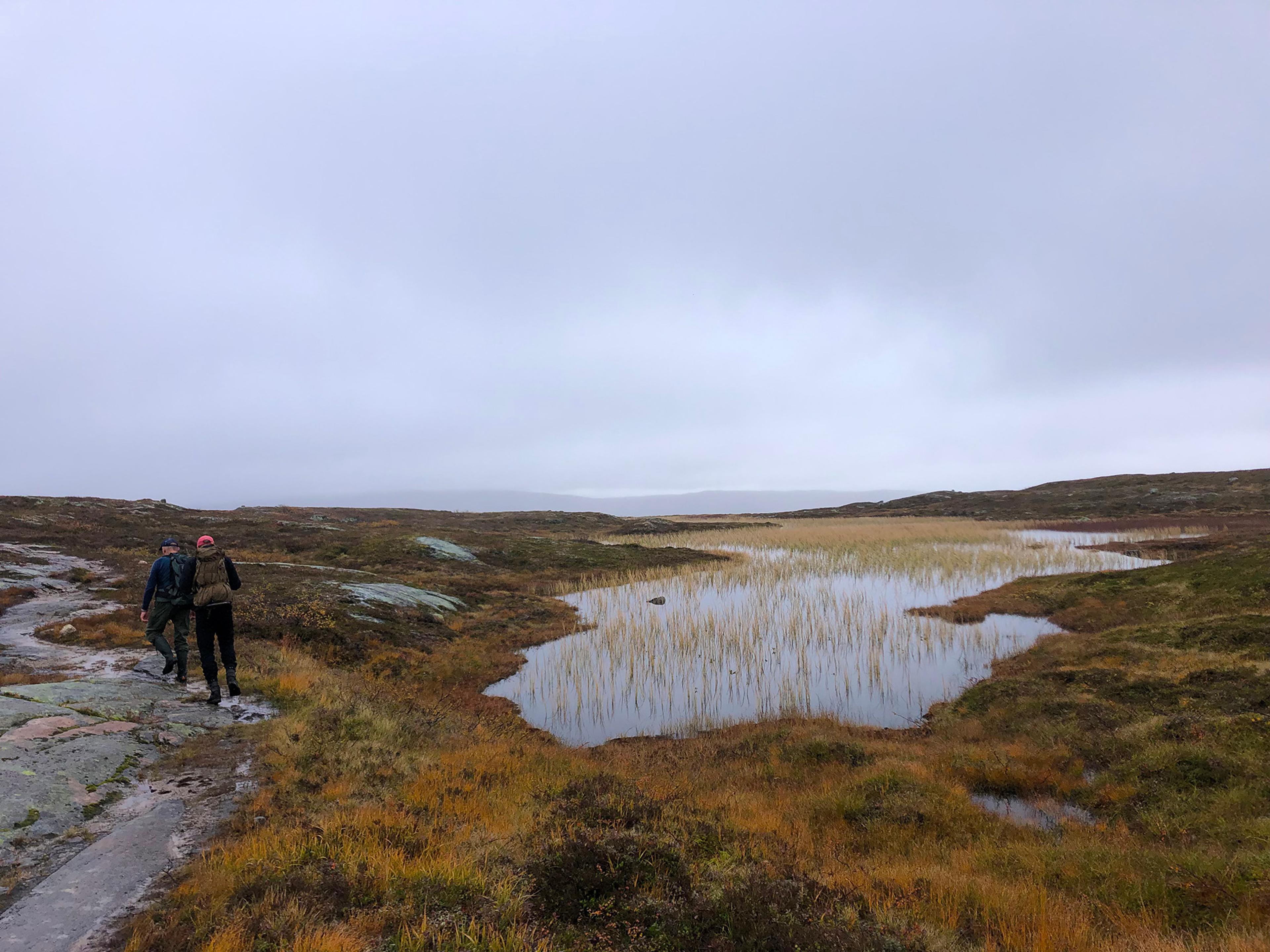 Snåsa Plukktjønnfjellet tur 2021 Foto Linn Marita Larsson (4)
