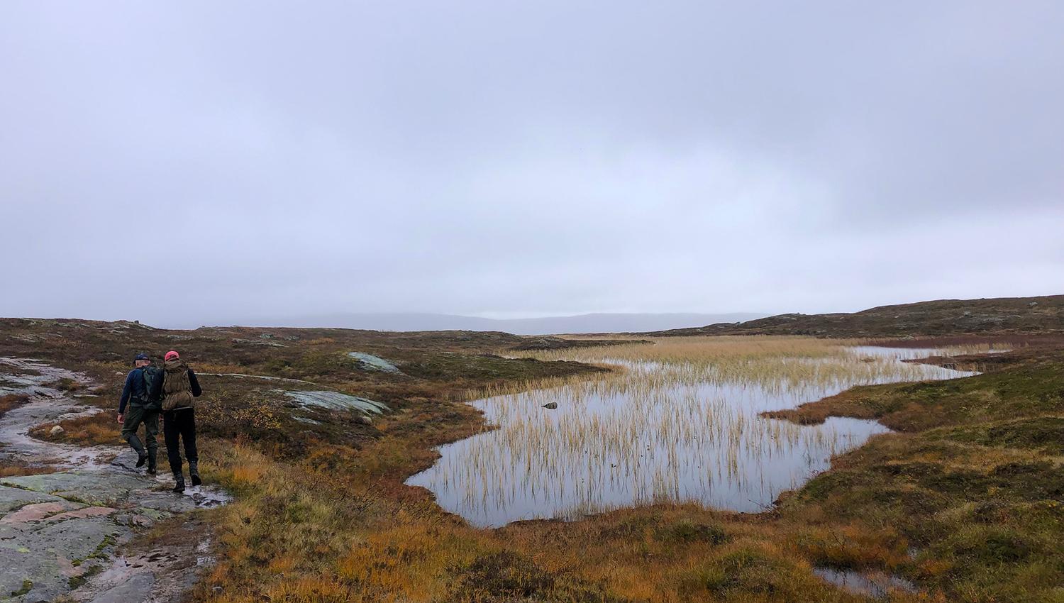 Snåsa Plukktjønnfjellet tur 2021 Foto Linn Marita Larsson (4)