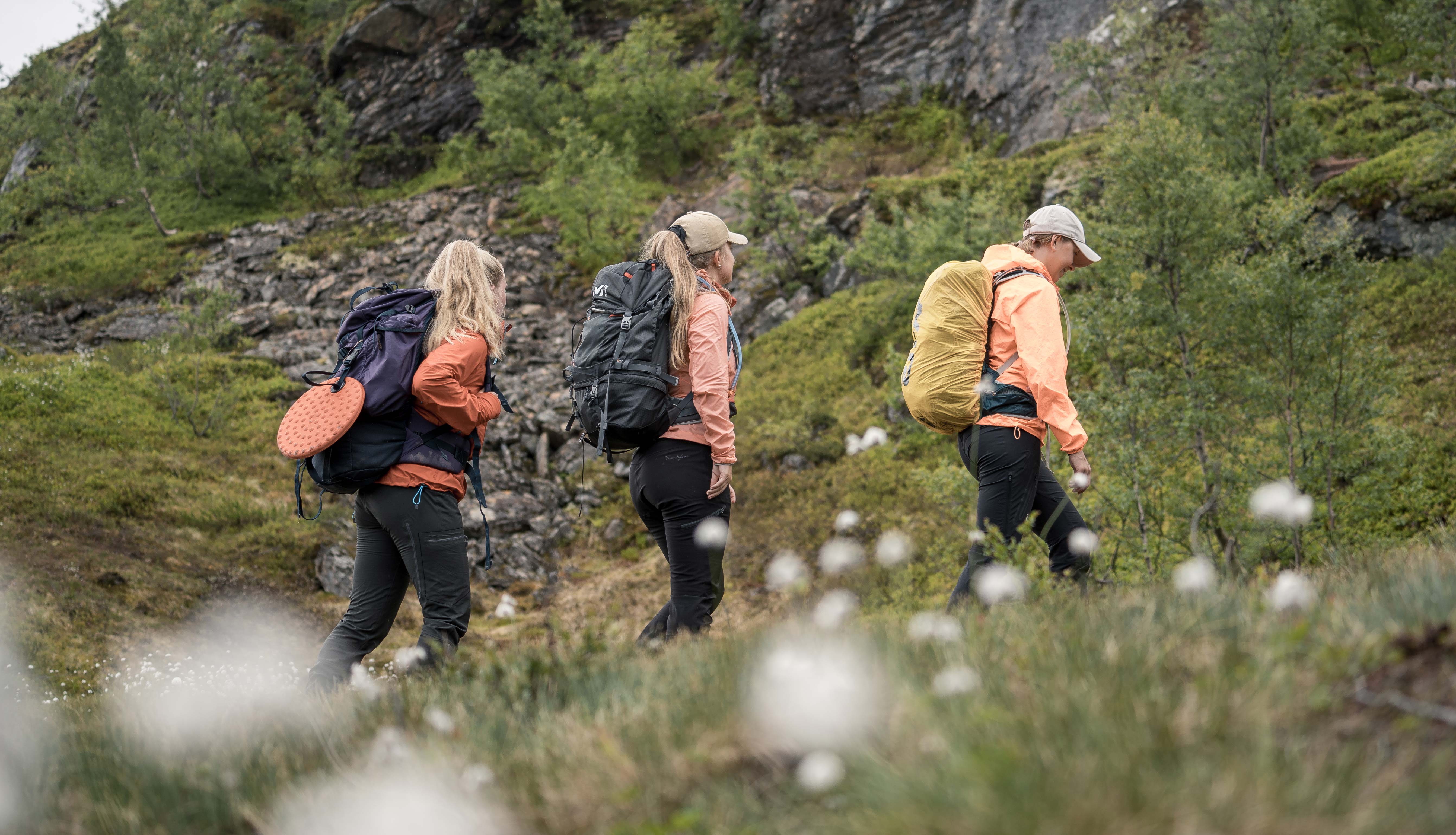 Hikers walking along a trail in the mountain landscape on Dronningstien.