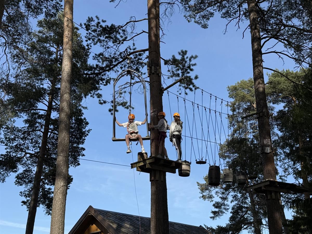 People climbing in a high treetop course with ropes and platforms between the trees.