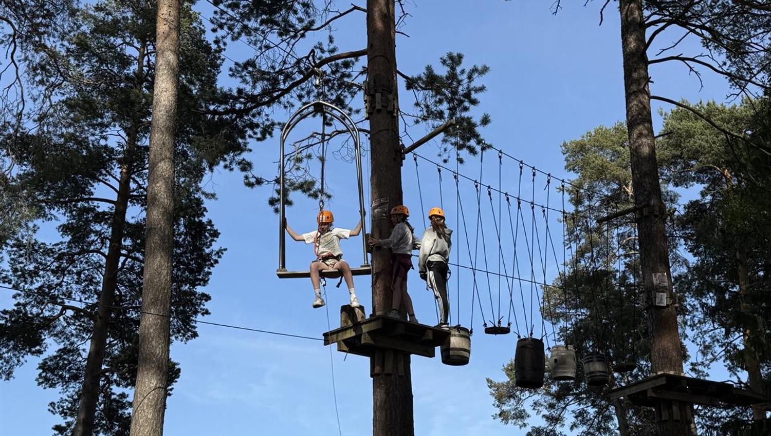 People climbing in a high treetop course with ropes and platforms between the trees.
