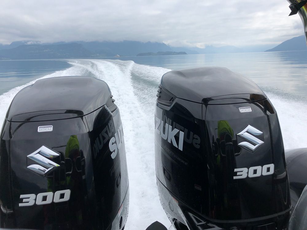 Kraftige Suzuki 300-motorar gjev fart og spenning på Norheimsund RIB Seafari i Hardangerfjorden.