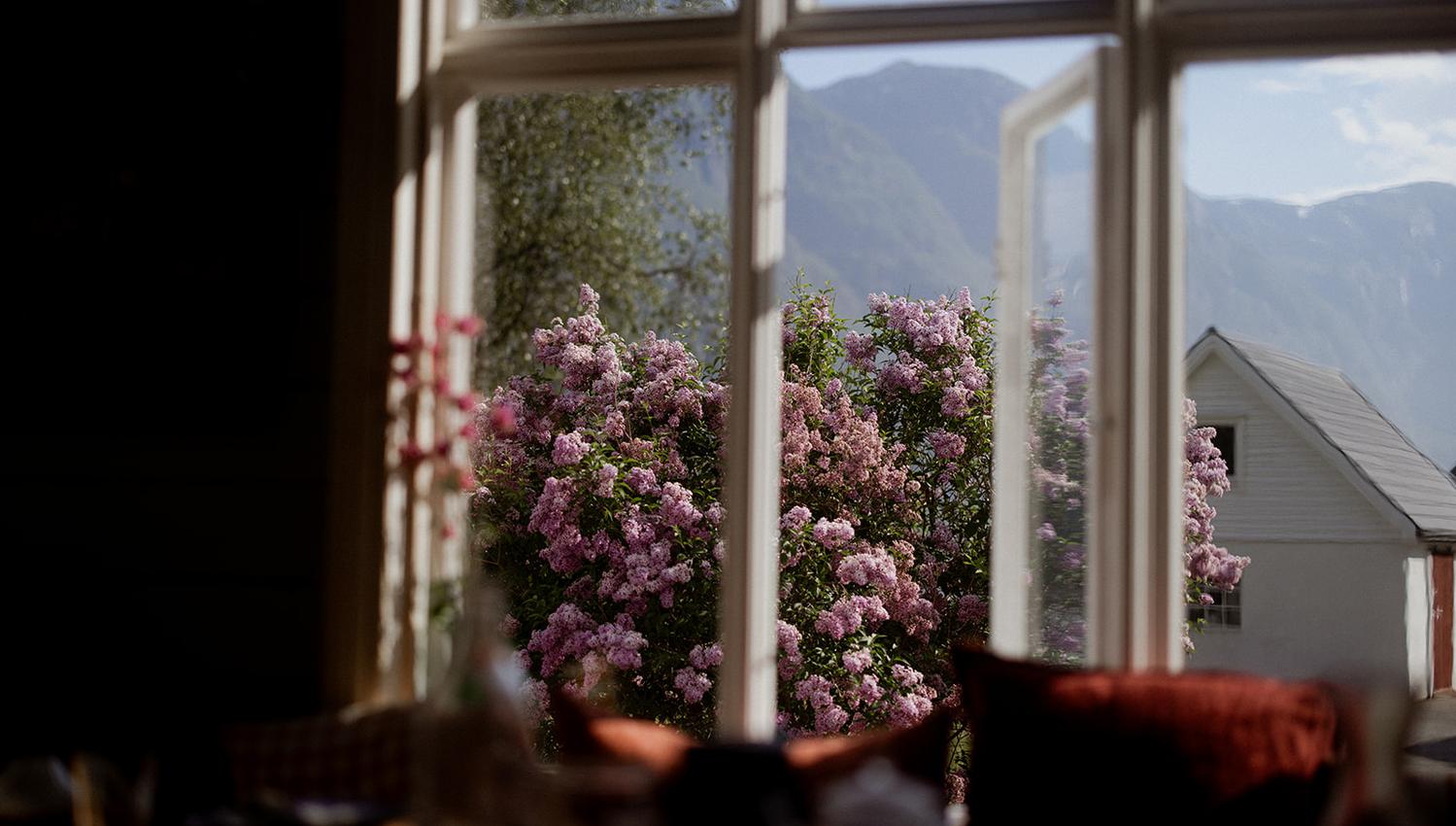 View of blooming lilacs from the lounge at Hotel Sundal – springtime in the fjord landscape.