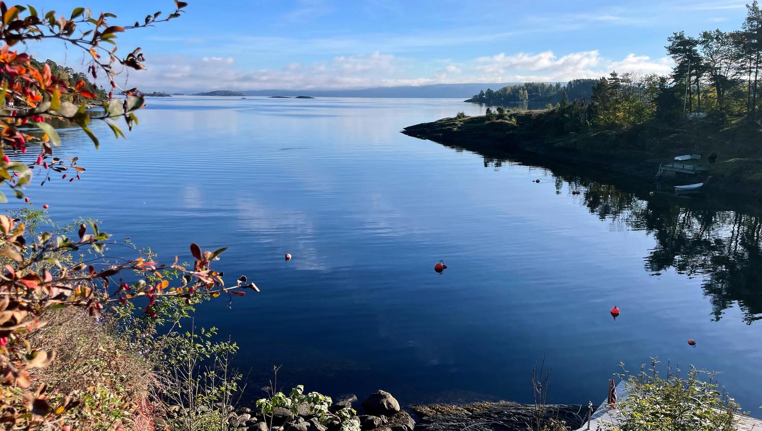 Stille vann og sjøutsikt