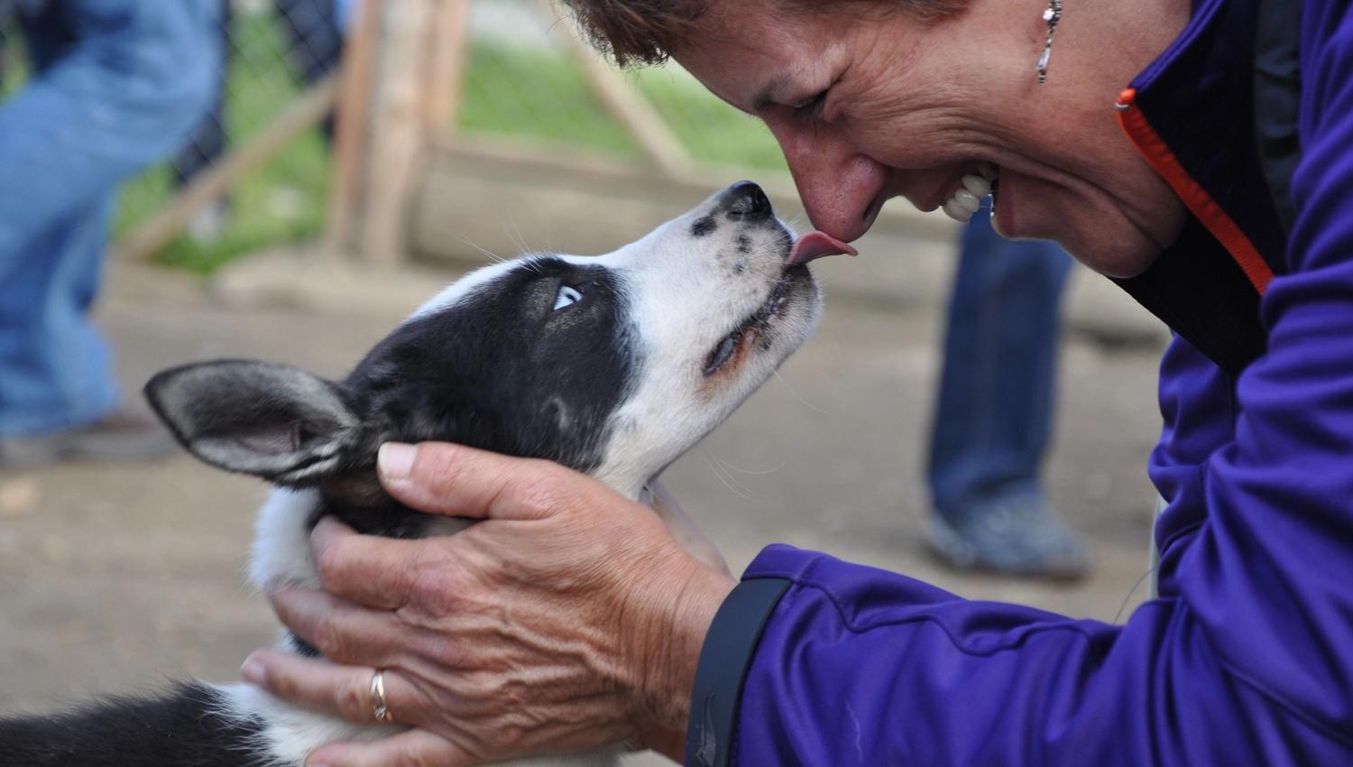 A dog cuddling with a woman
