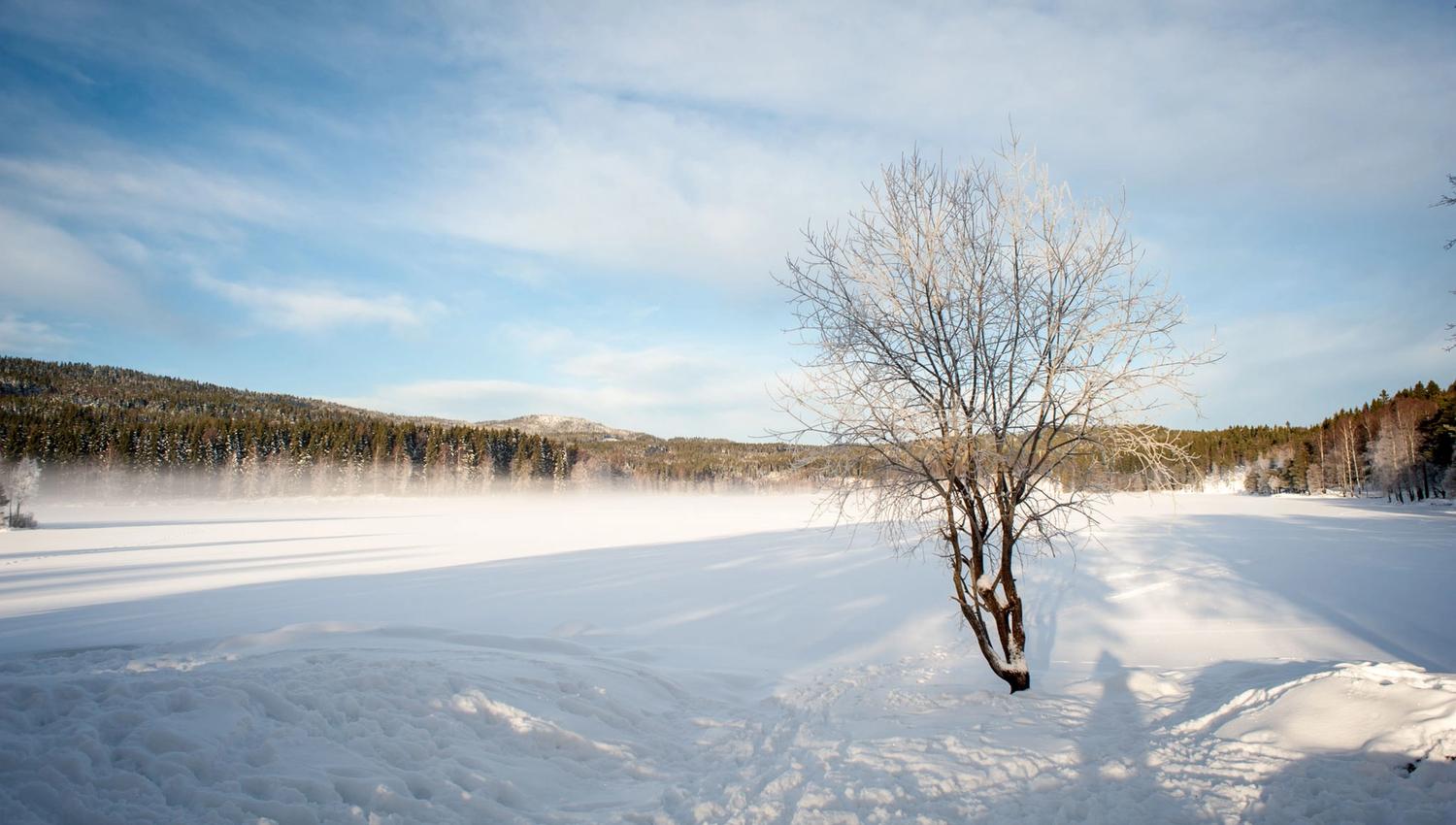 Snødekt innsjø.