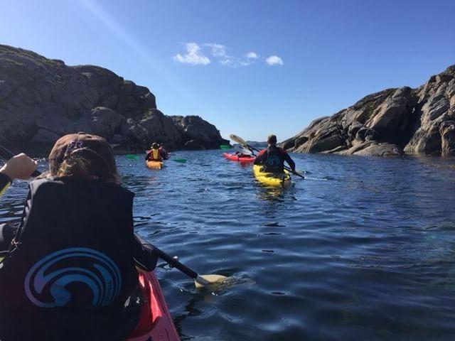 Ballstad - Guided kayak tours