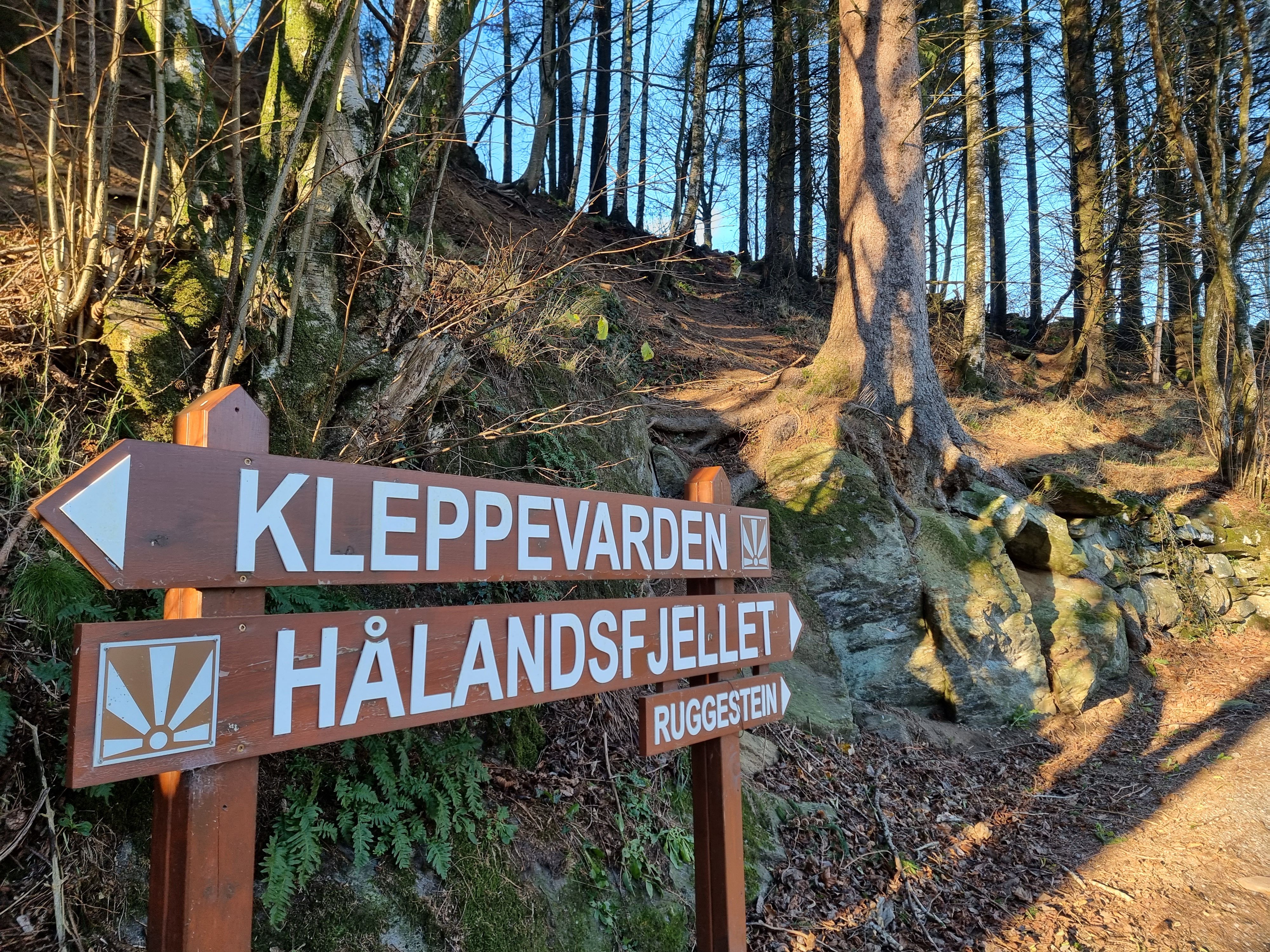 Signposts along the way