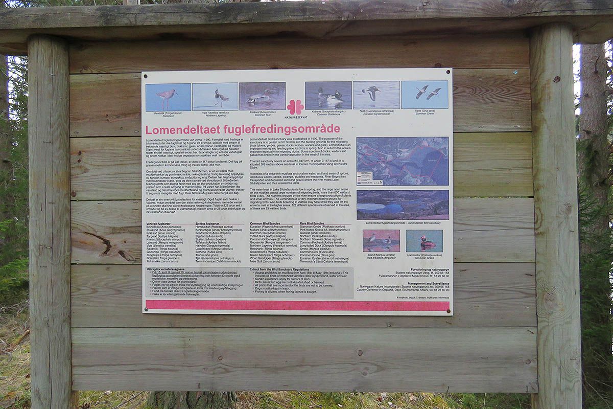 web_IMG_5575_Lomendelta tavle