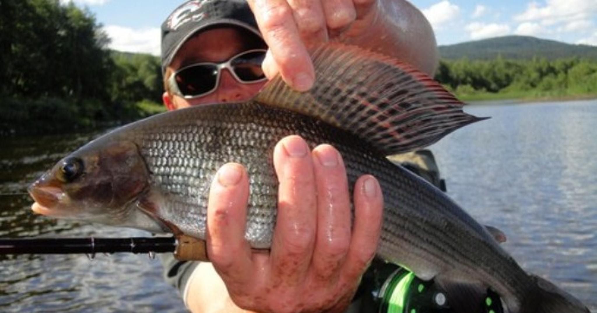 Fishspot