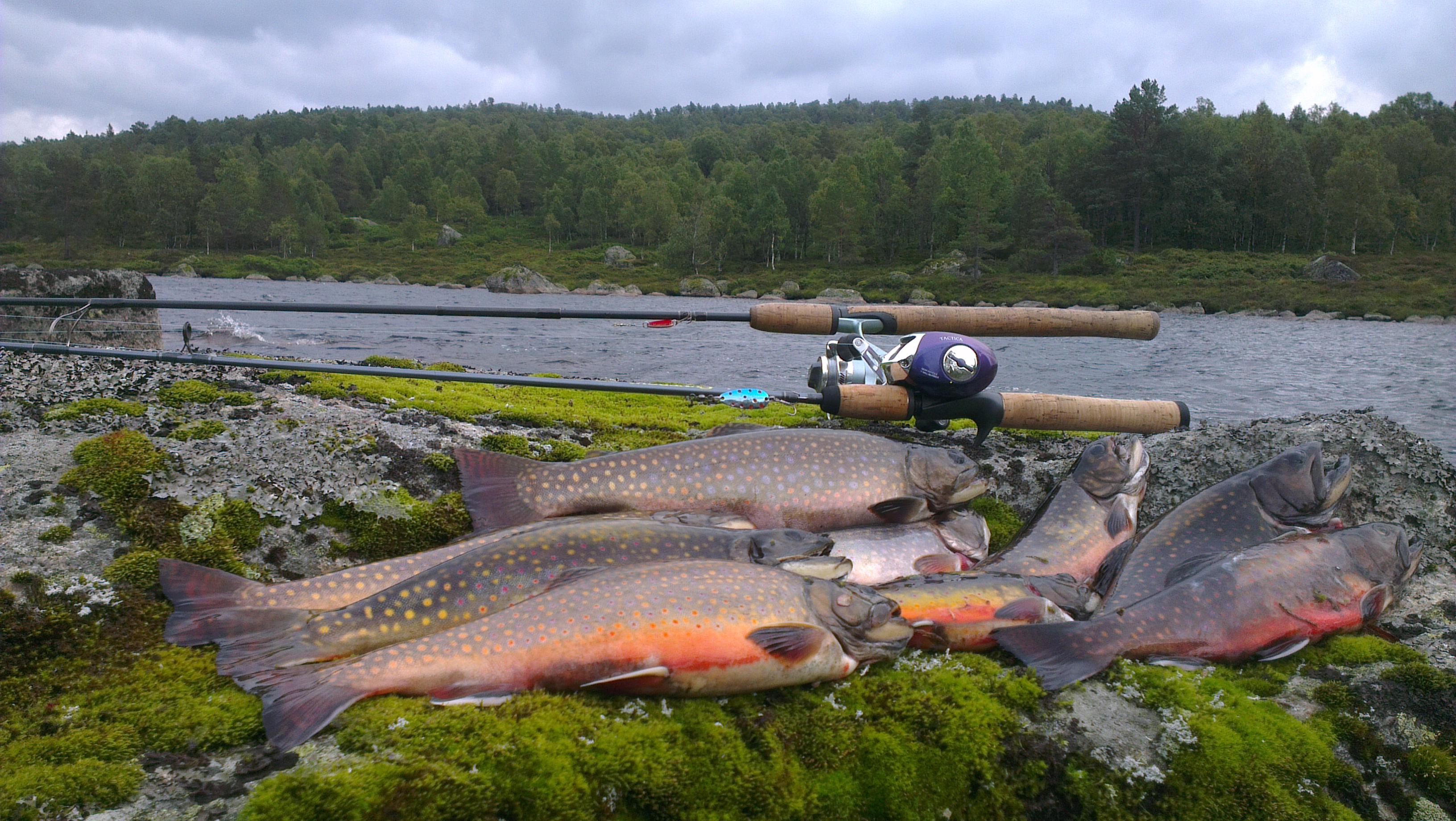 Aktiviteter og kultur på Heddan Gjestegard
