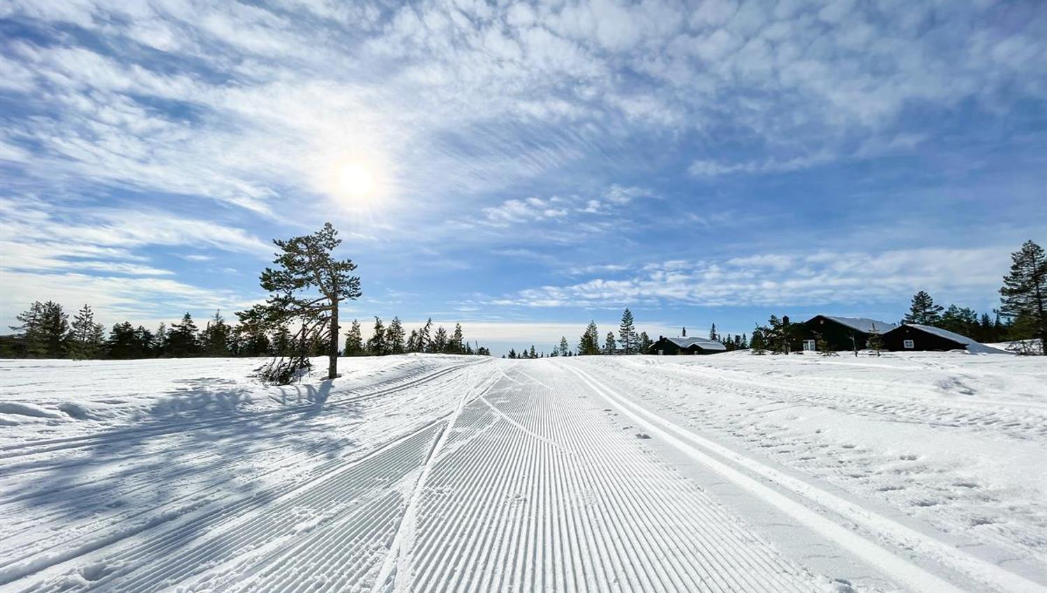Nypreparerte skispor strekker seg gjennom et åpent vinterlandskap, med lav vintersol og et skyfylt himmelmønster over horisonten.