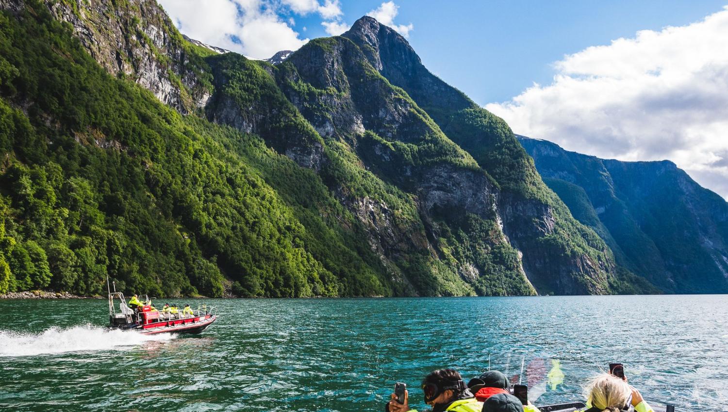 FjordSafari