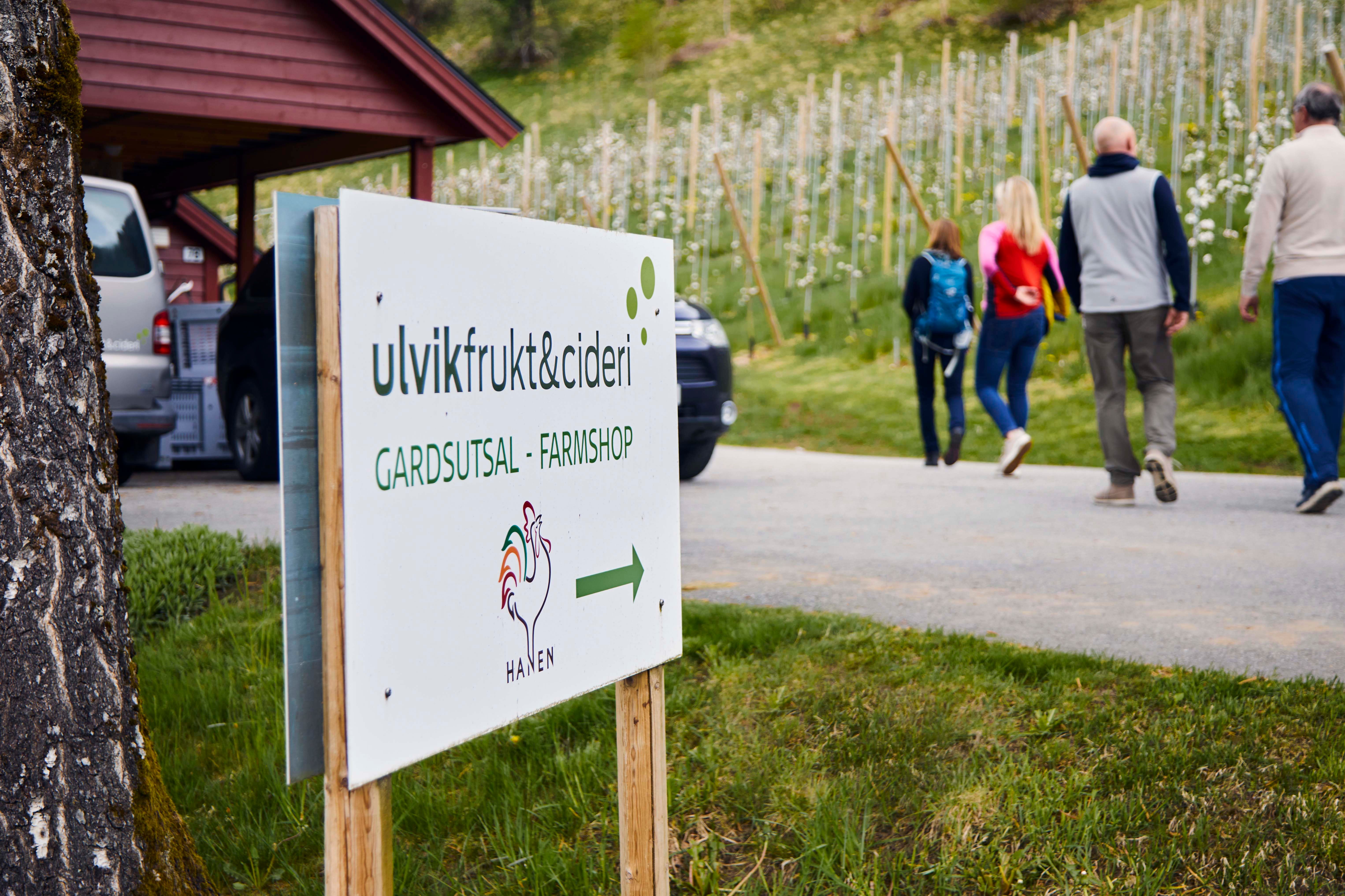 Sign pointing to the farm shop at Ulvik Frukt & Cideri, with tourists entering the orchard in the background.