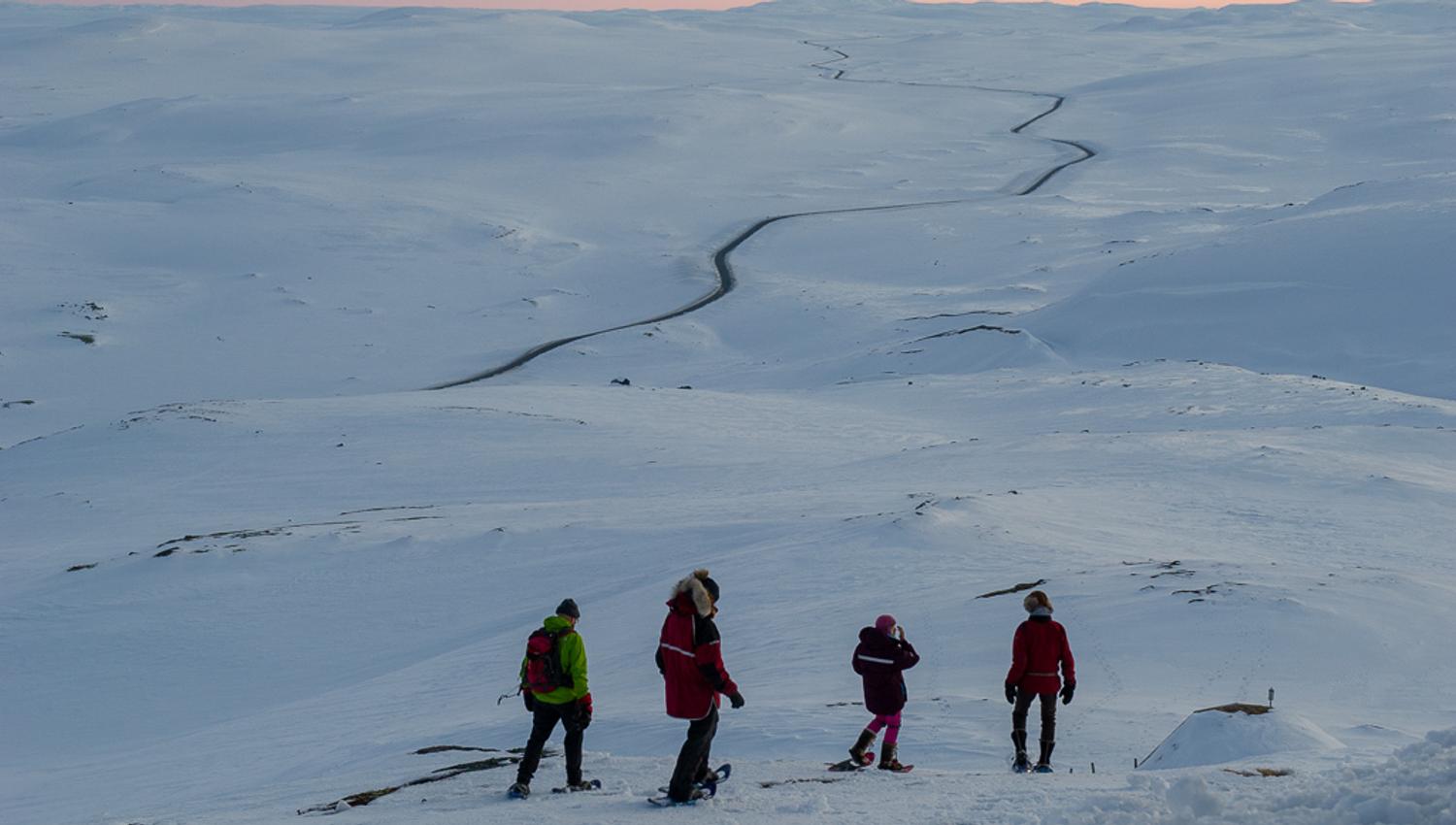 A small group of people wearing snowshoes in the snow, they're on their way down from Halnekollen mountain top.