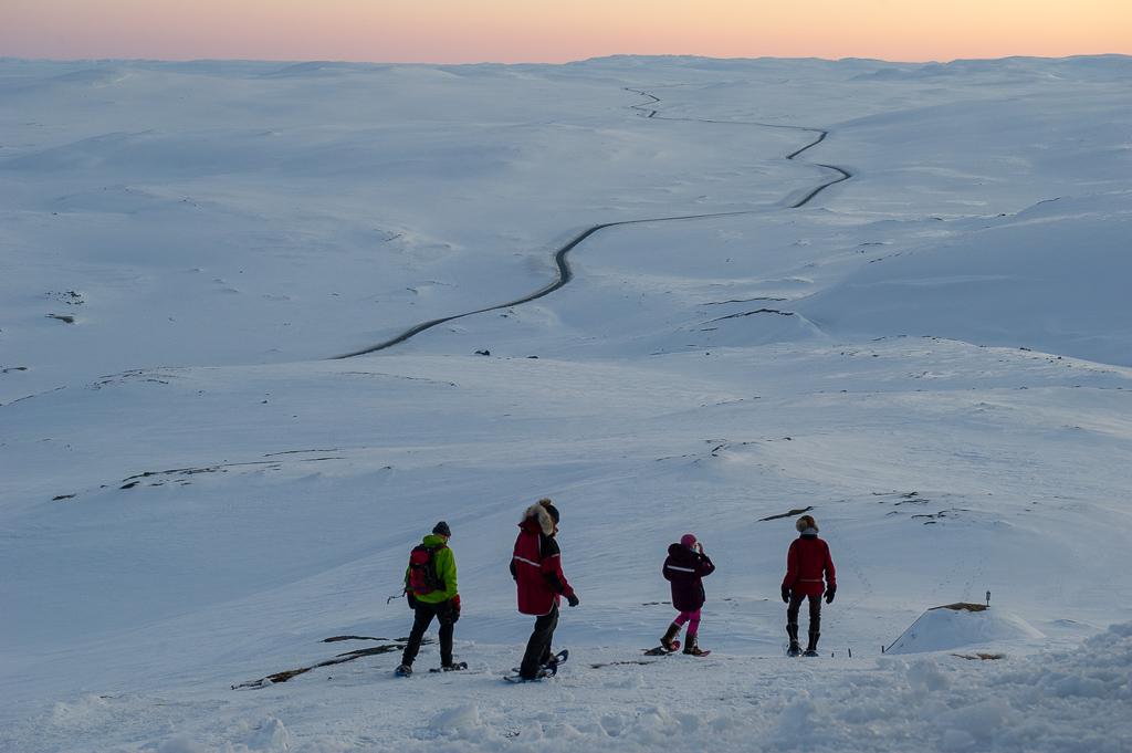 Halne Fjellstugu _Trugetur - Halnekollen