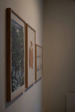 Bilder på vegg på Galleri ØKS.