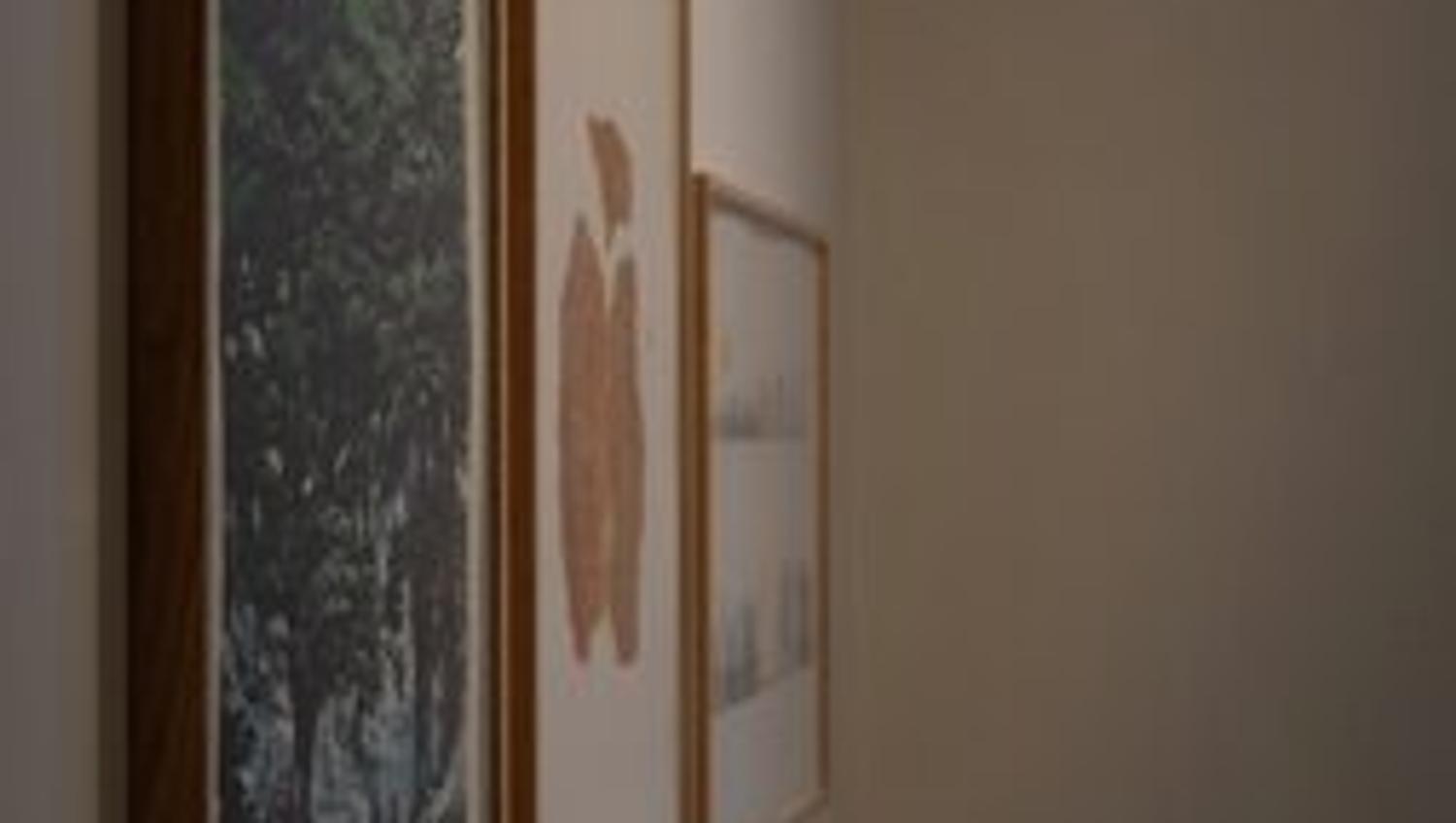 Bilder på vegg på Galleri ØKS.