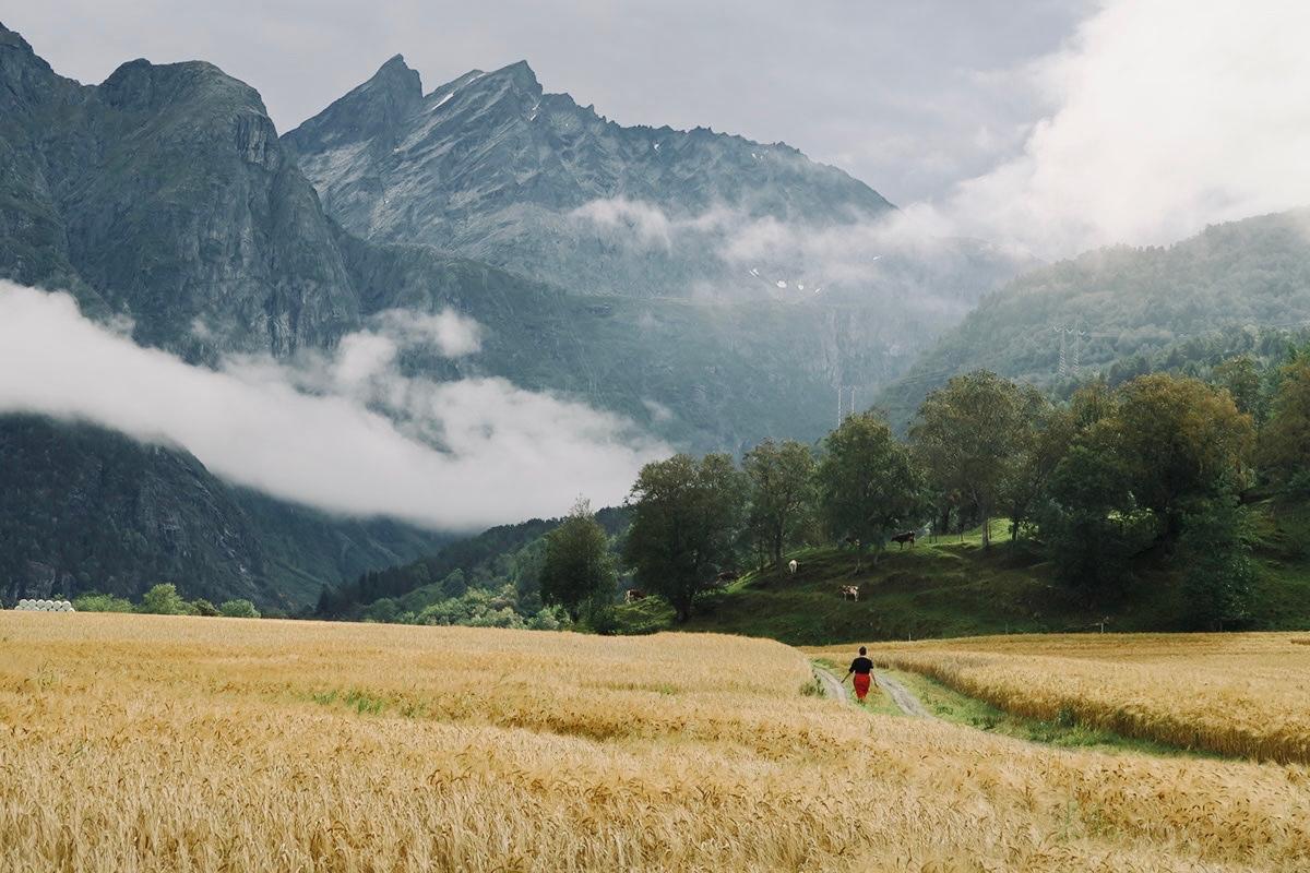 Workation på Ytterbakke gård i Romsdalen