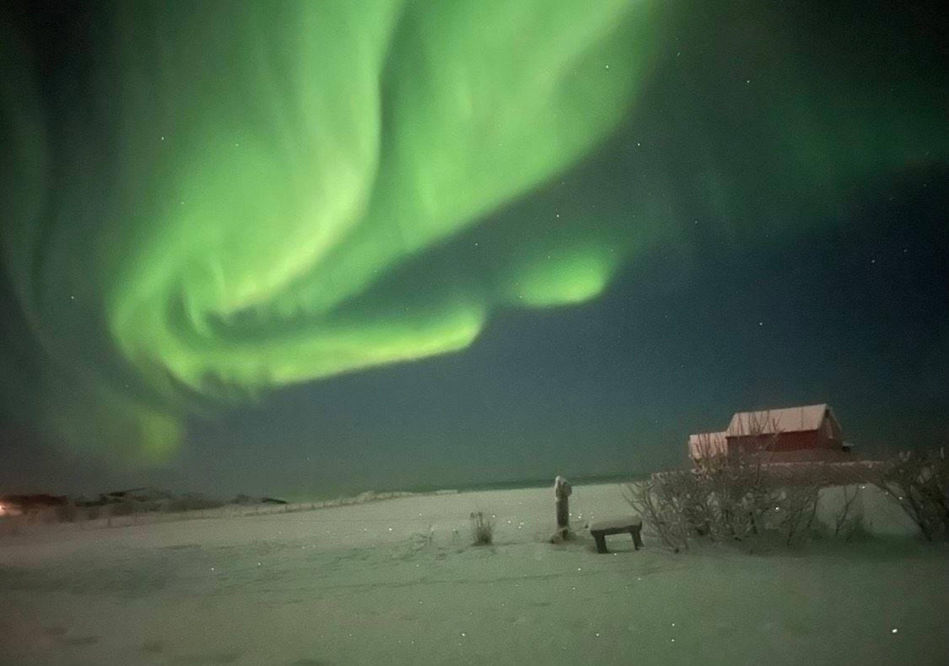 4-Day Nothern Lights Adventure in Lofoten (small groups)