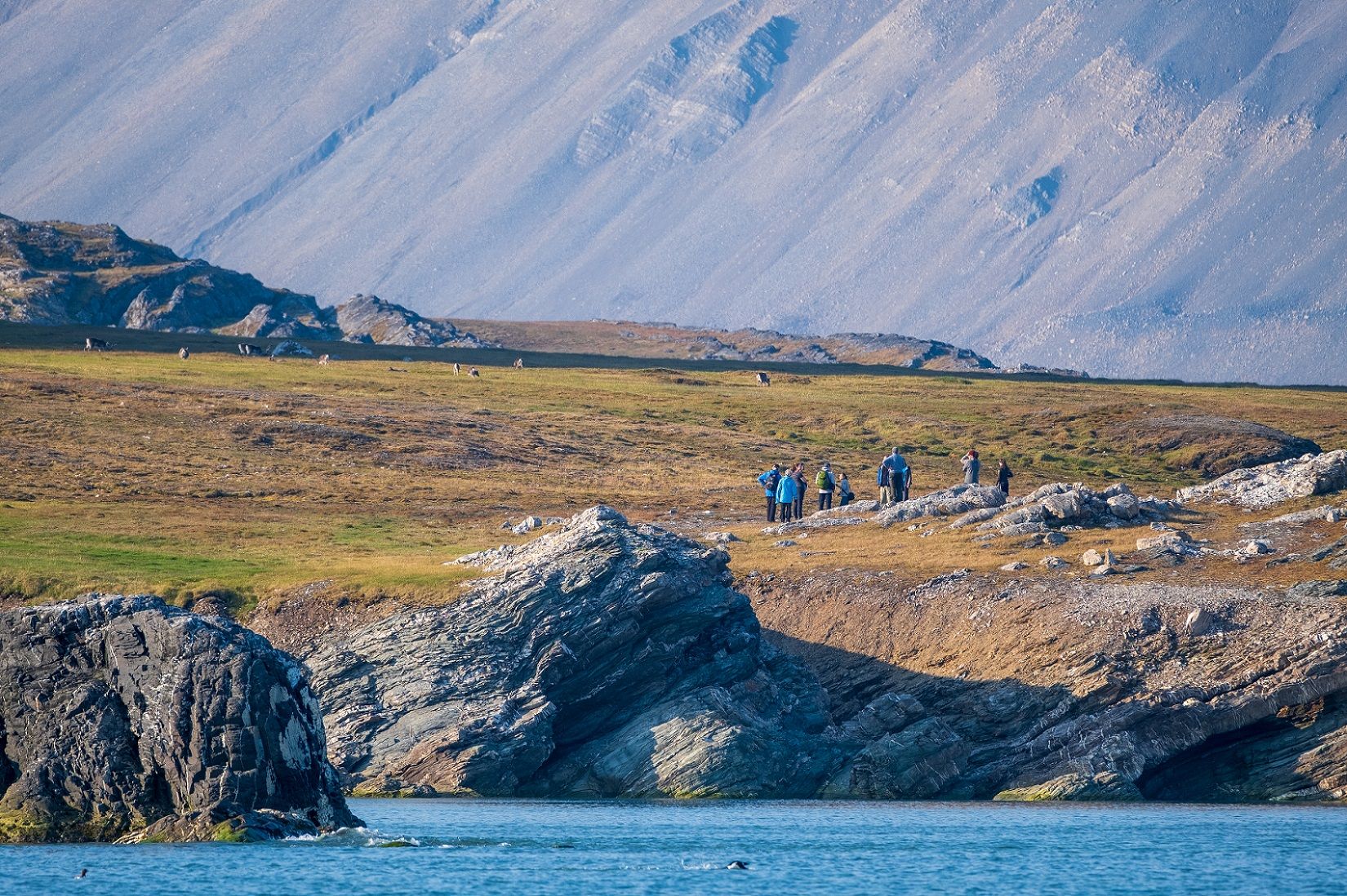 A guided group of people standing on a small cliff by a fjord