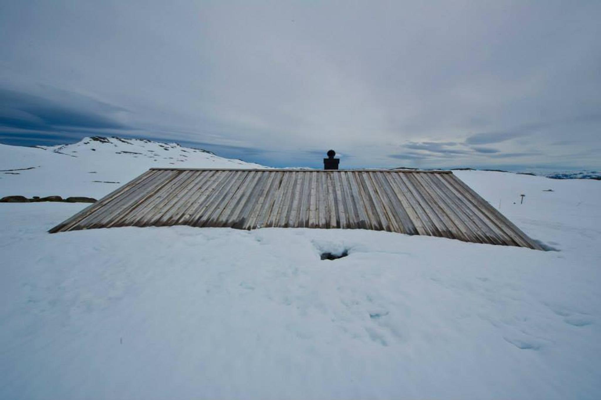 Tjørnbrotbu, vinterstid