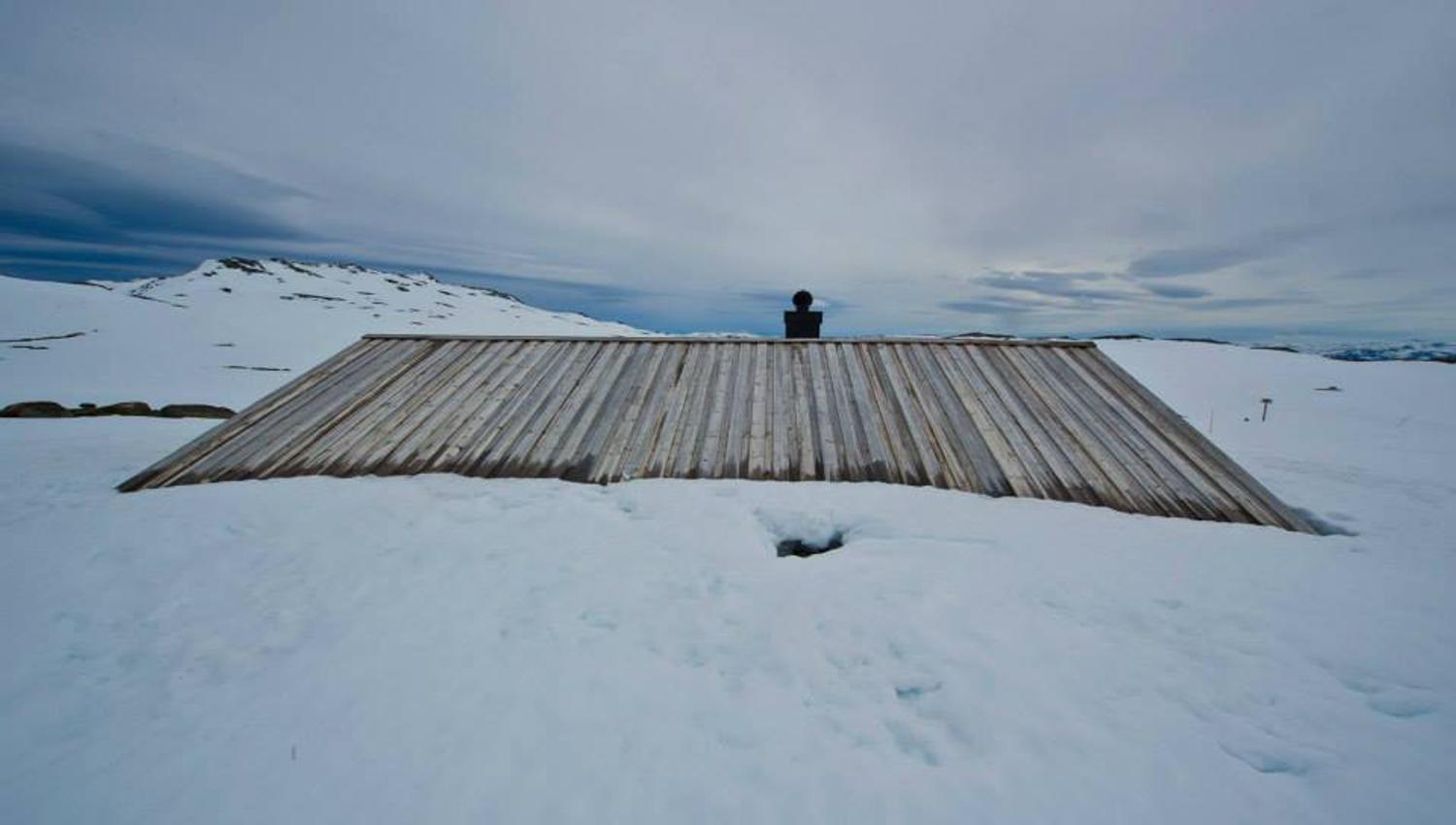 Tjørnbrotbu, vinterstid