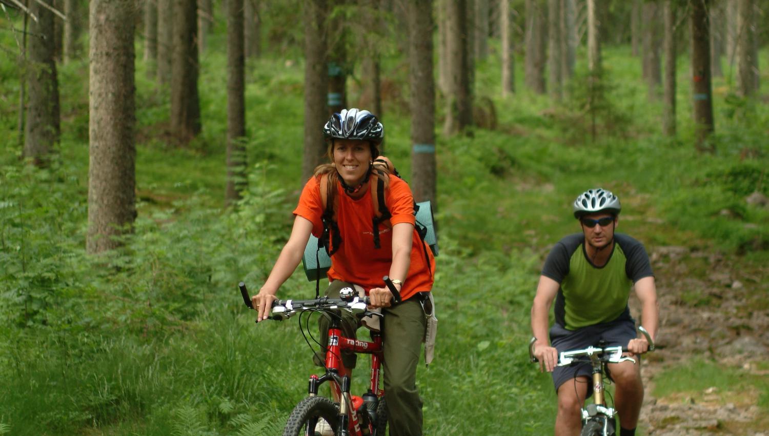 to syklister på terrengsykkel i skogen