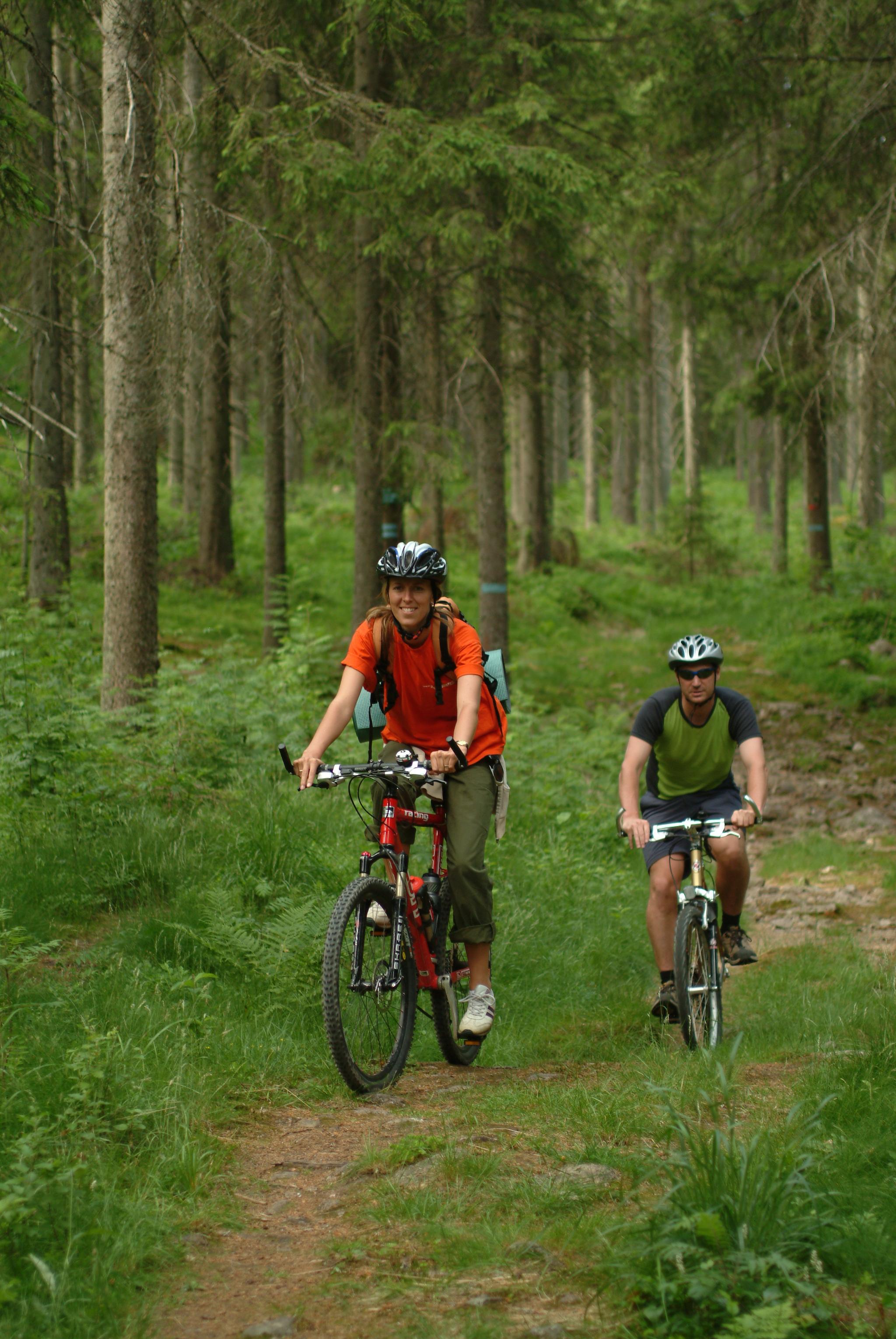 two cyclists on a mountain bike in the forest