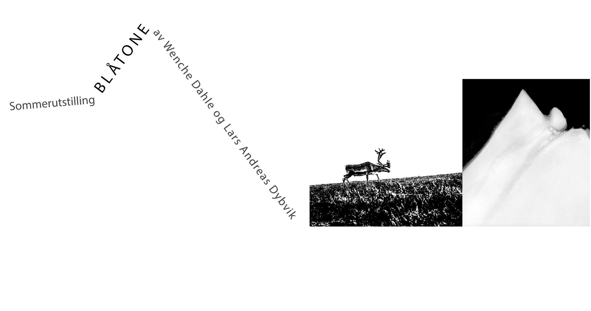 Sommerutstillingen SAGA