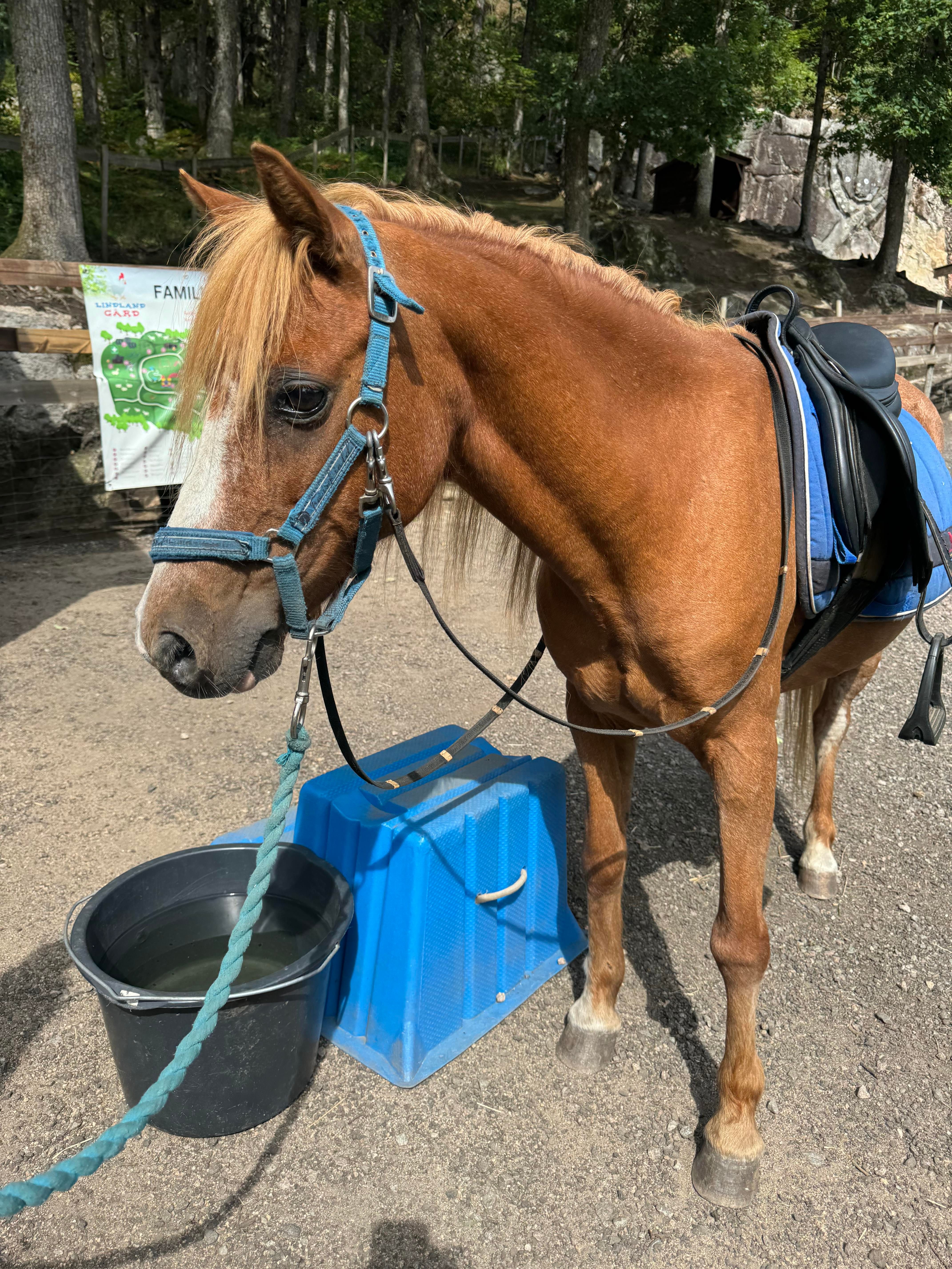 Bilde 29.07.2024, 14 48 26