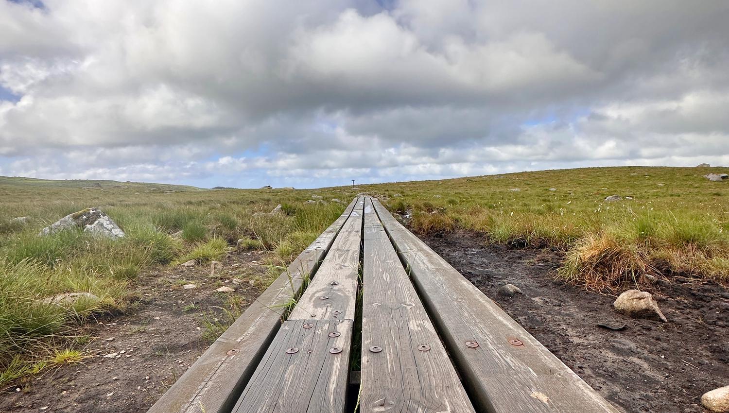 Facilitated trails