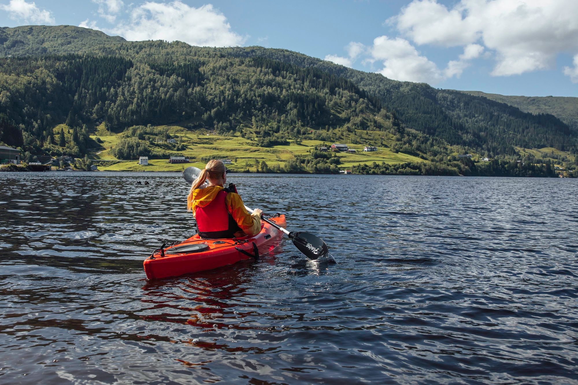Storehesten Panorama