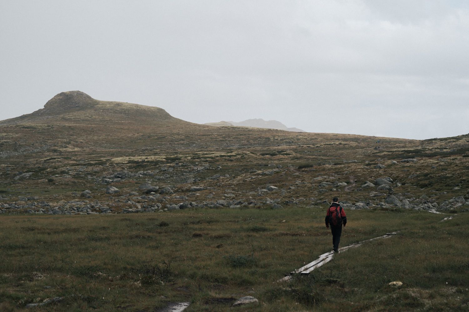 Hardangervidda x Yrjan Olsnes 2021-08374