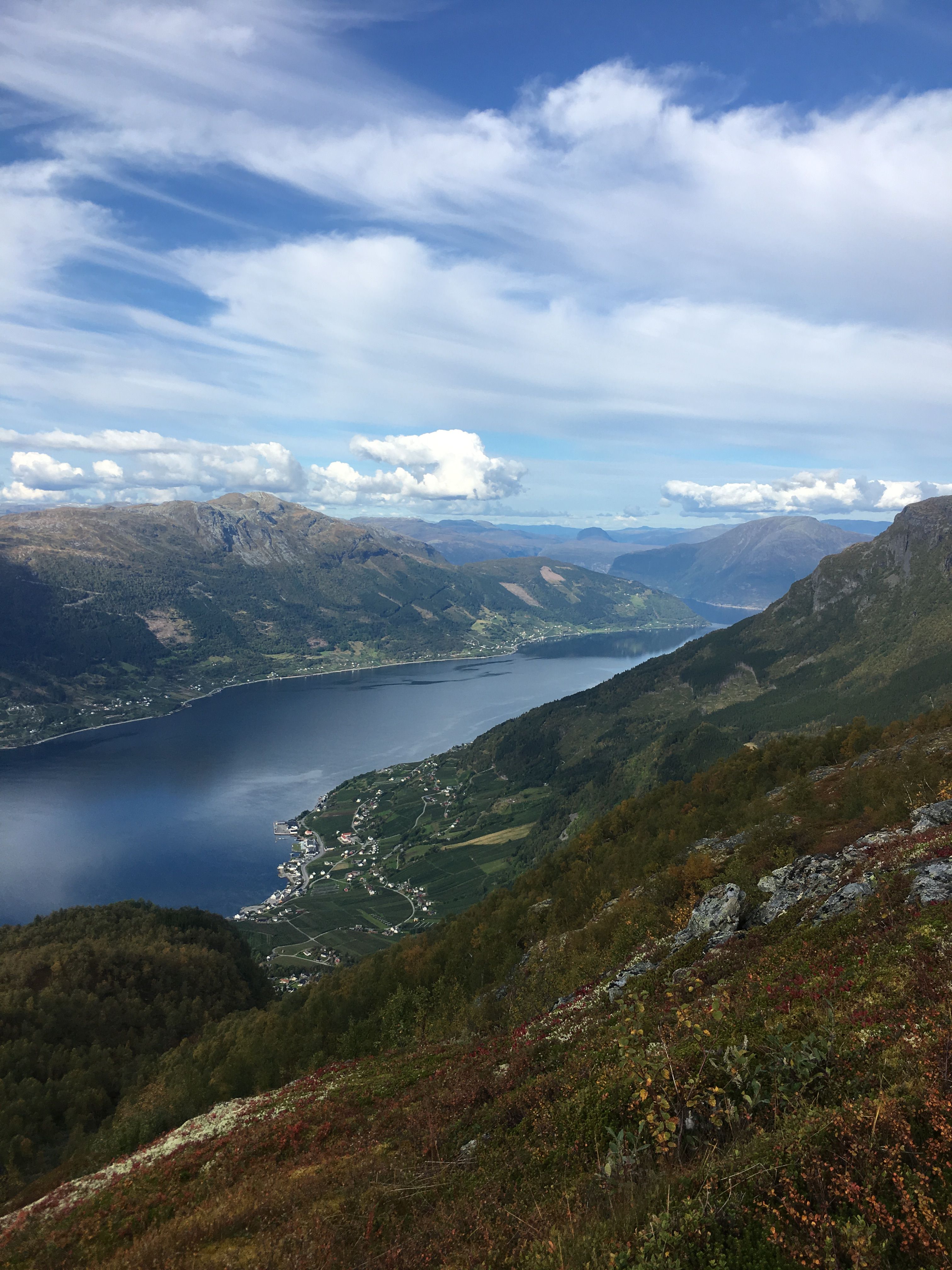Panoramic view of the Hardangerfjord from the mountainside.