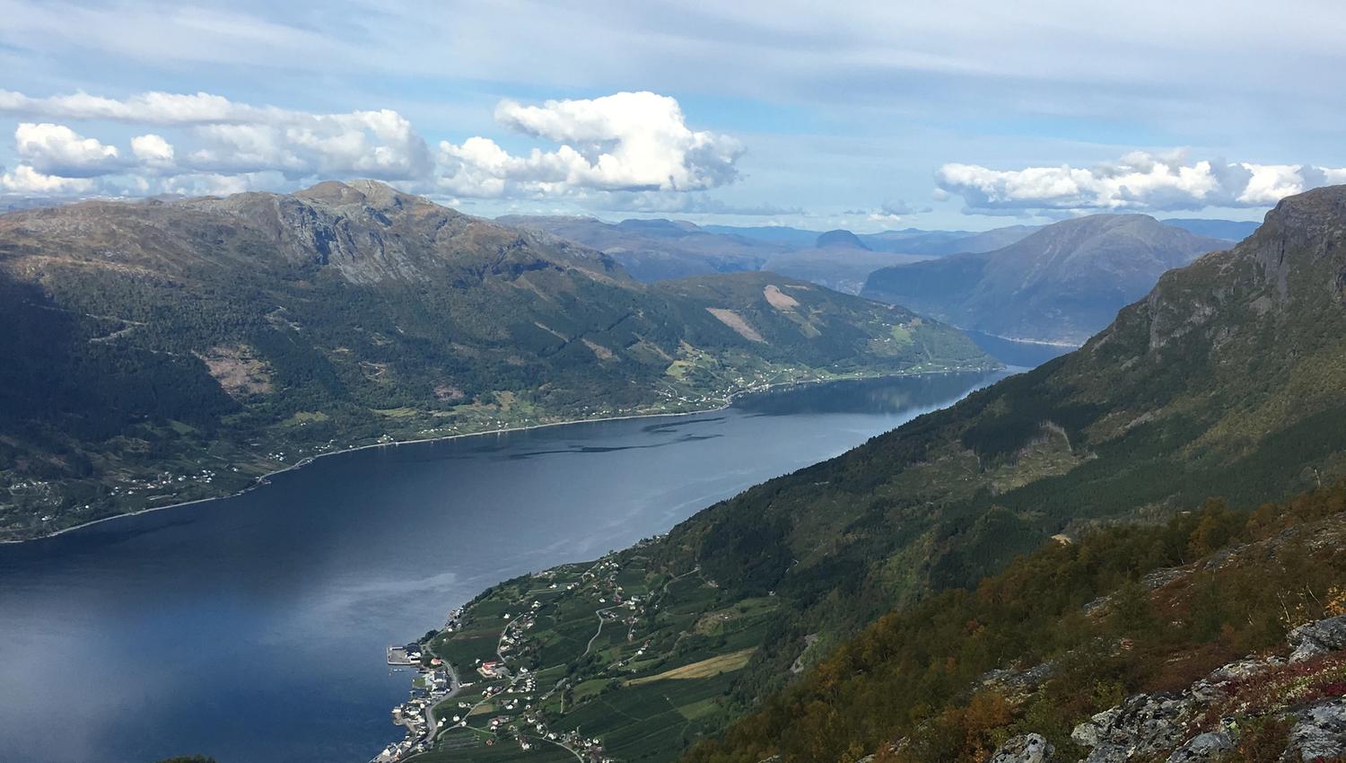 Panoramic view of the Hardangerfjord from the mountainside.