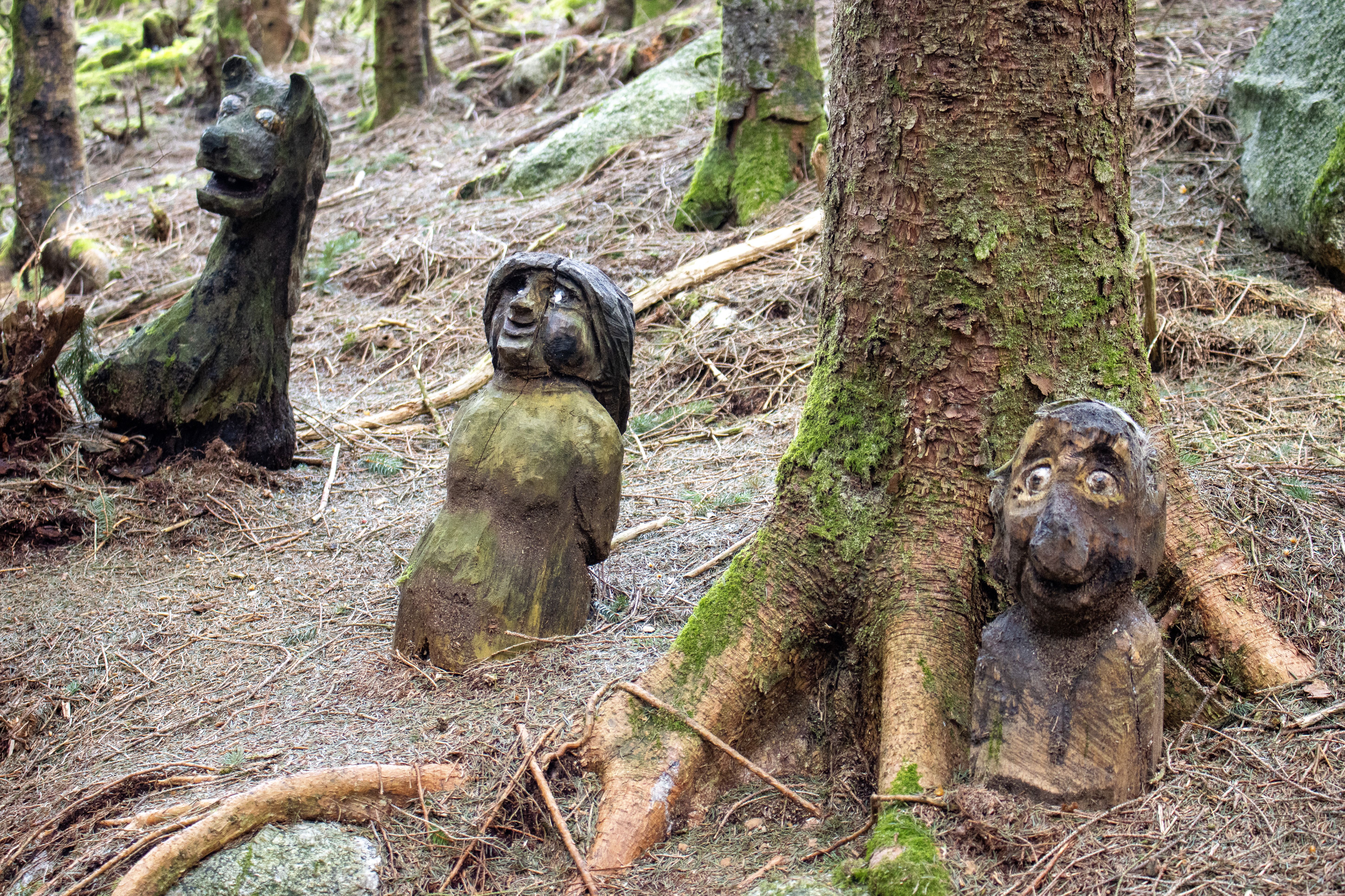 Eventyrskogen i Årdal