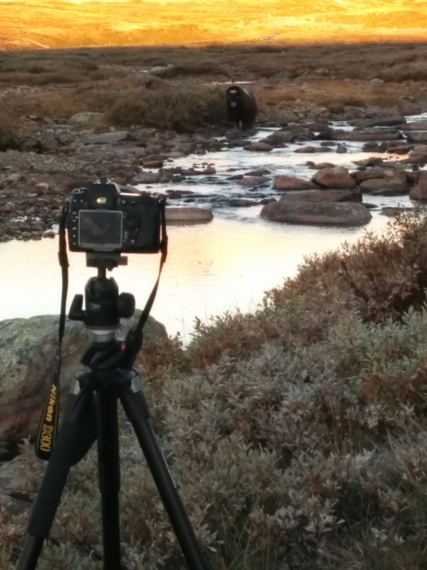 En flott dag på kontoret :-)
