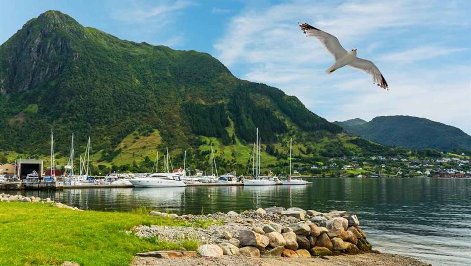 Rosendal
