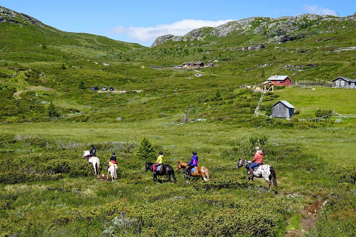 Ridetur med Myhre Gård i vakkert stølslandskap ved Olestølen.