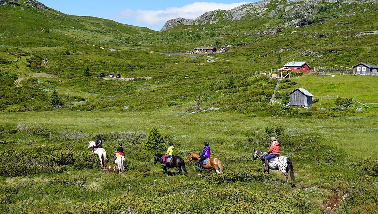Ridetur med Myhre Gård i vakkert stølslandskap ved Olestølen.