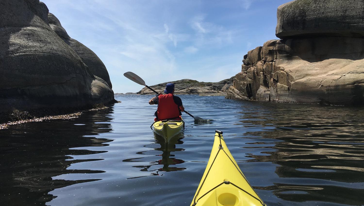 Padleled Vestfold og Telemark